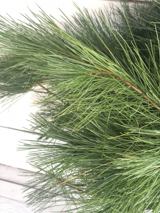 Pin proaspat BALOT (5 legaturi) [4]