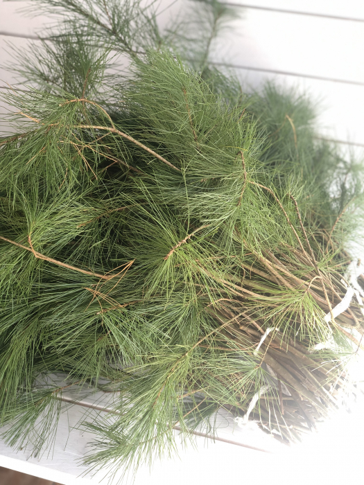 Pin proaspat BALOT (5 legaturi) [3]