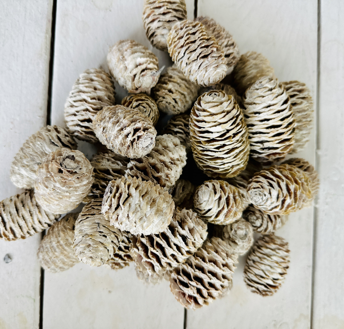 SABULOSUM conuri albite. 60 buc [1]