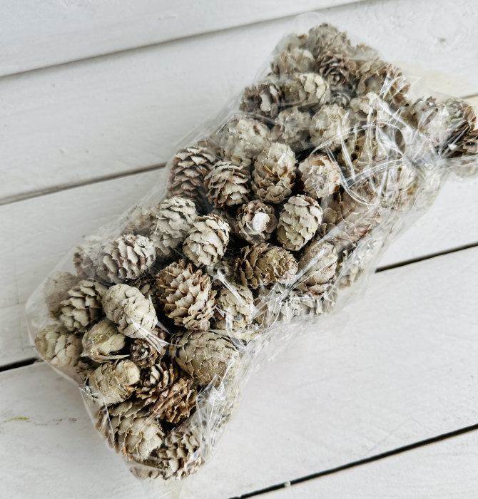 SALIGNUM conuri mici albite 300 gr/100 bucăți [4]