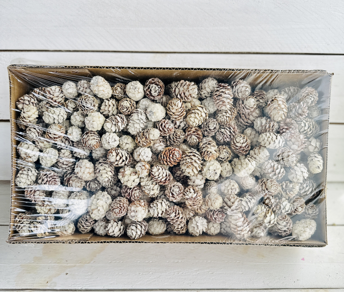 SALIGNUM conuri mici albite 1,2 kg 400+ buc [1]