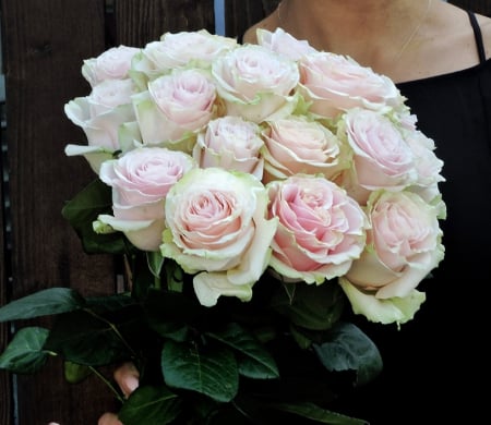 BUCHET FLORI MIXTE - TRandafiri mov premium livrare Timișoara