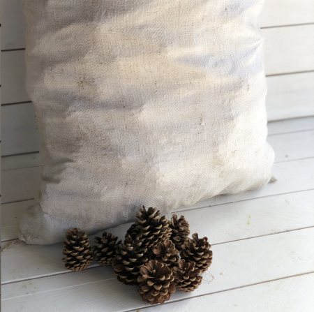 Conuri de PIN la sac 8 kg [3]