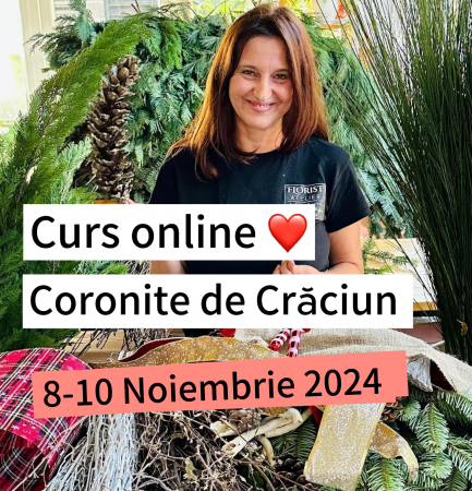 CURSURI - CURS online CORONIȚE de CRĂCIUN cu Anca Vlad