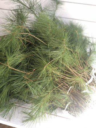 Pin proaspat BALOT (5 legaturi) [2]