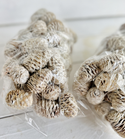 SABULOSUM conuri albite. 60 buc [1]
