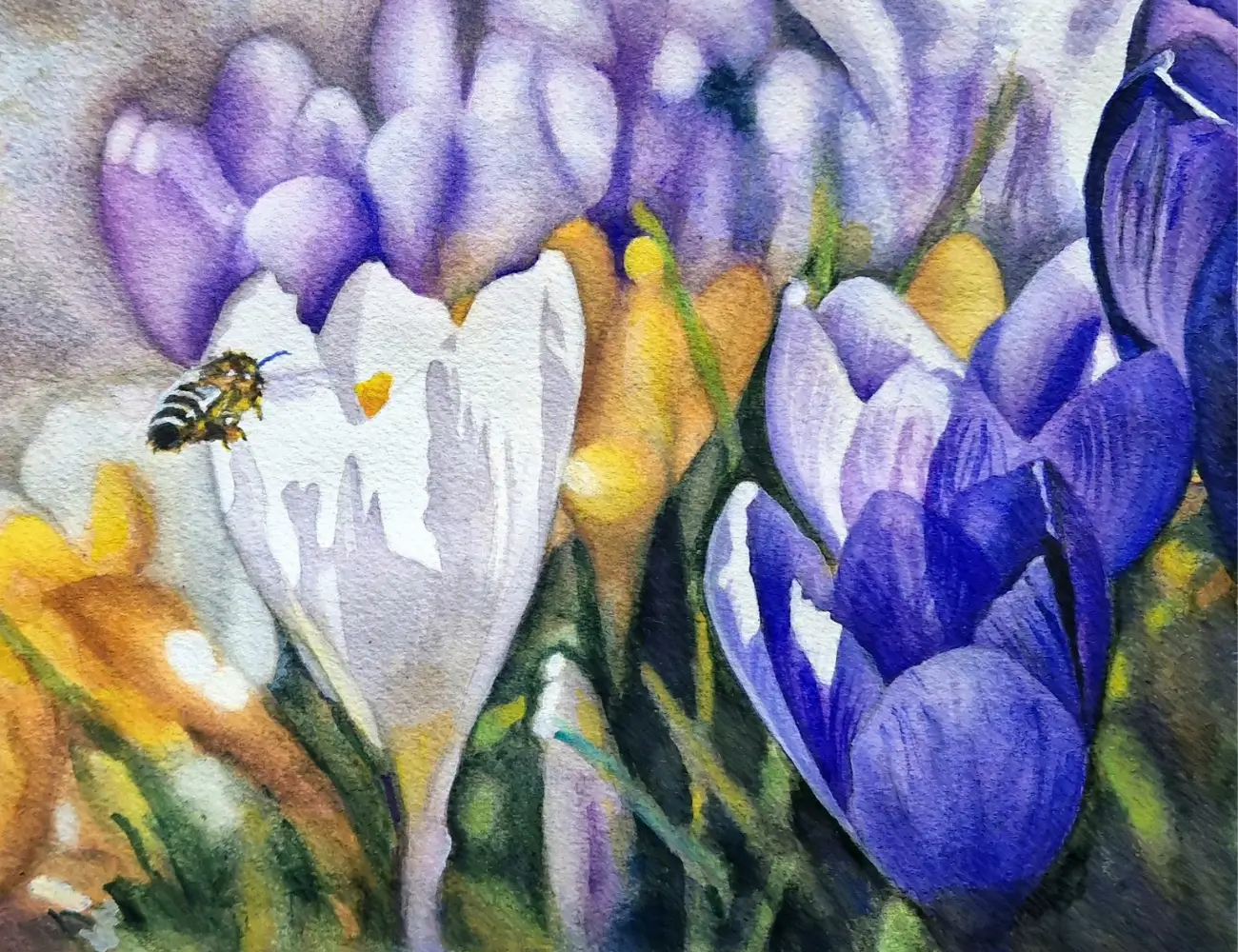 TRANSPARENȚĂ DELICATĂ, FARMEC RUSTIC