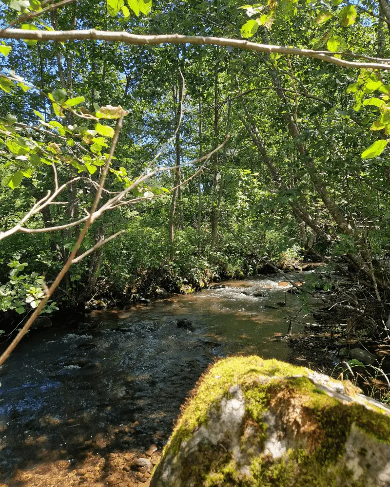 Nuanțele liniștii - acuarelă [6]