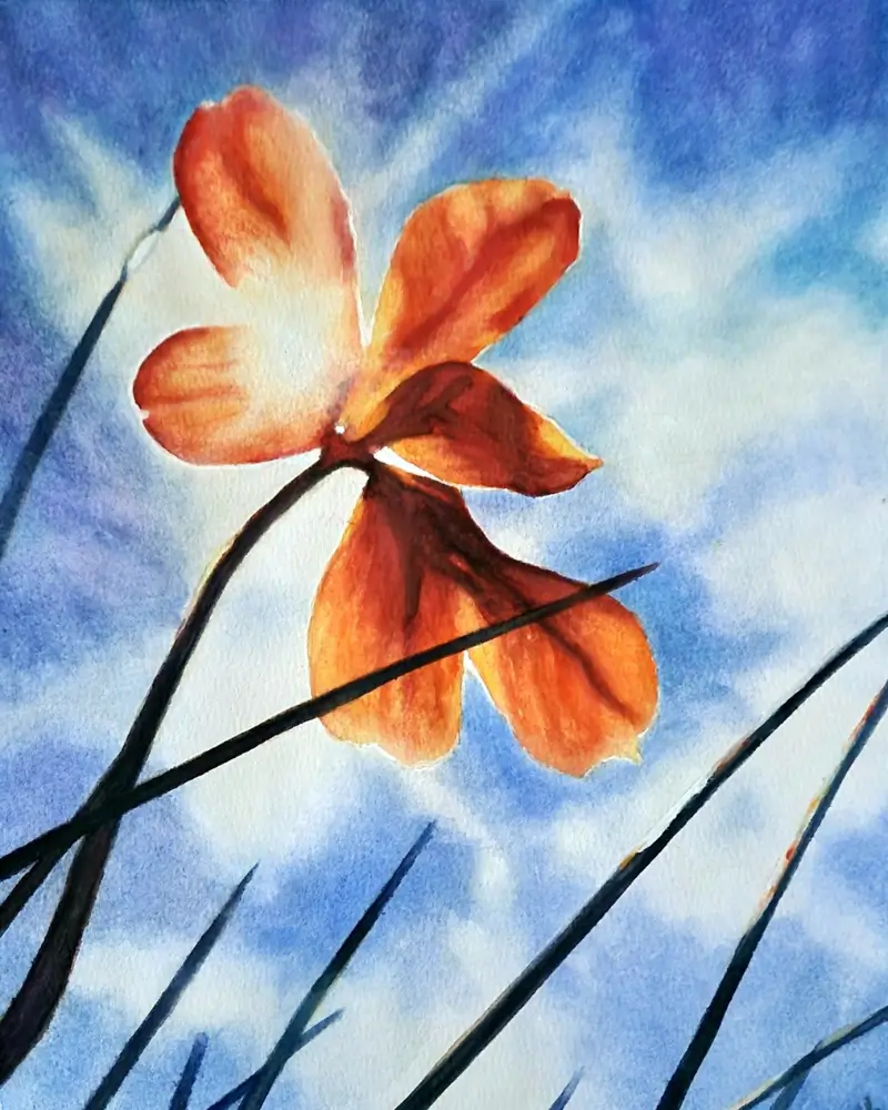 Raza de soare - acuarelă originală [1]