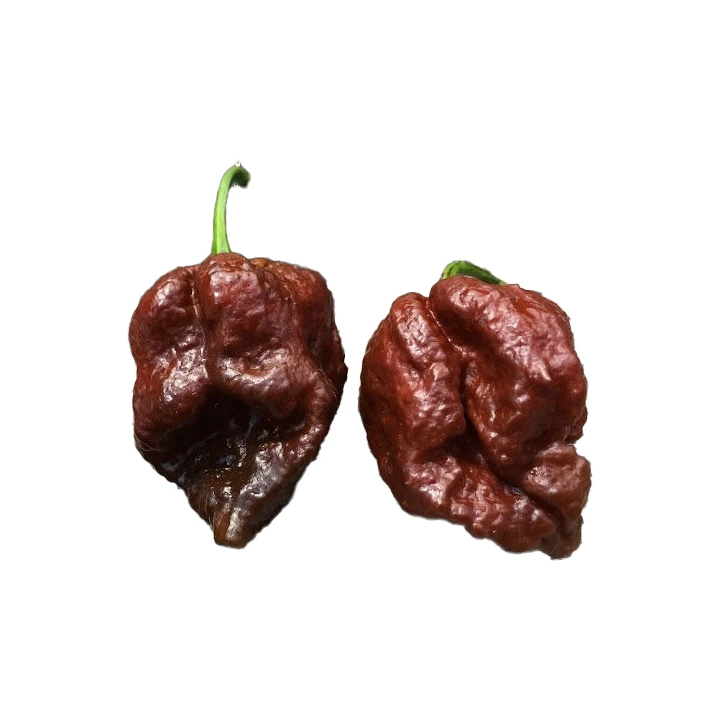 Semințe de ardei iute "7 Pod Chaguanas Chocolate" [0]