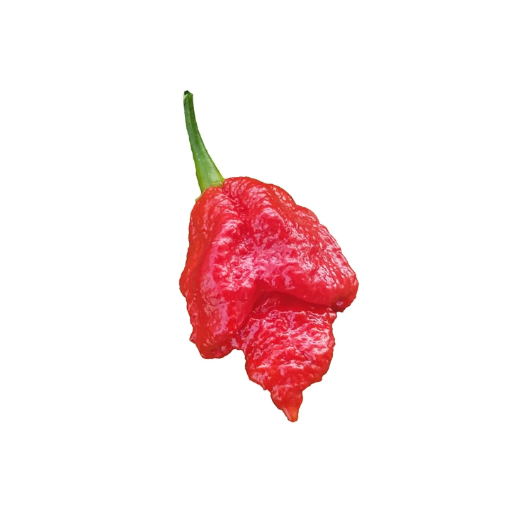 Semințe de ardei iute "Apocalypse Red" [0]