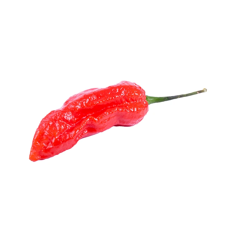 Seminte de ardei iute - Semințe de ardei iute "Bhut Jolokia Red"