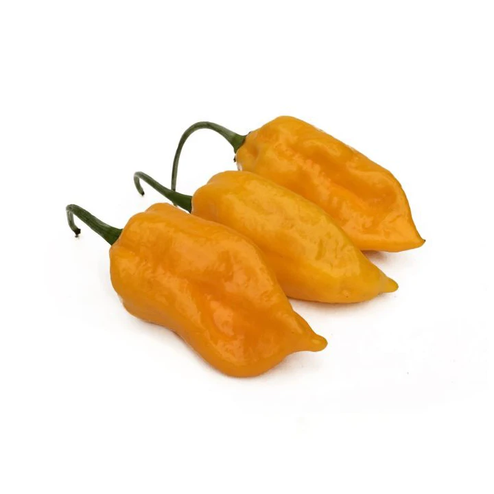 Semințe de ardei iute "Bhut Jolokia Yellow" [0]