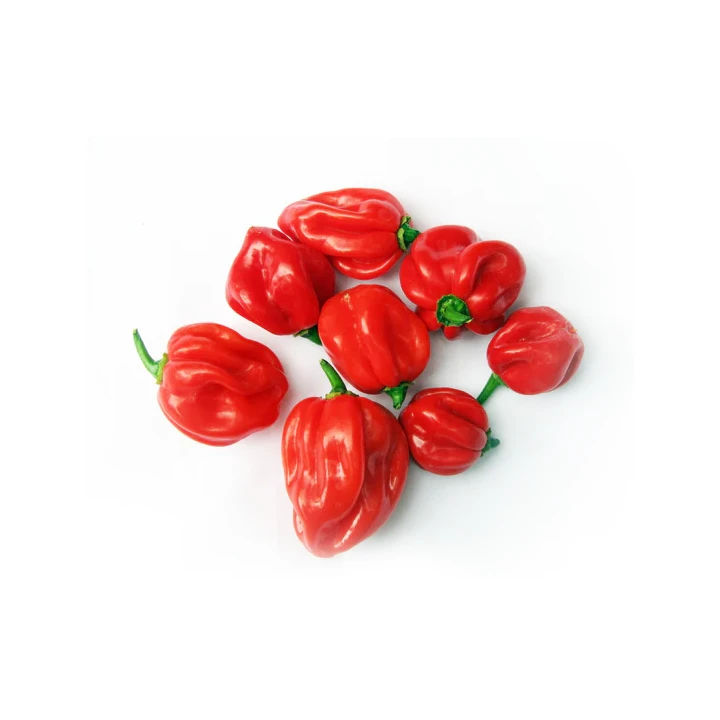 Seminte de ardei iute - Semințe de ardei iute "Habanero Red"