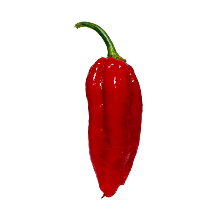 Seminte de ardei iute - Semințe de ardei iute "Naga Morich"