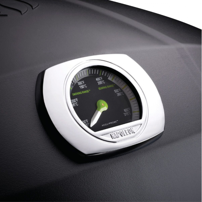 Grătar portabil electric Napoleon TravelQ PRO285E [6]