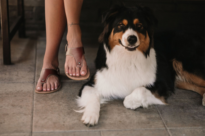 Sandale barefoot BE LENKA Promenade - Maro închis [2]