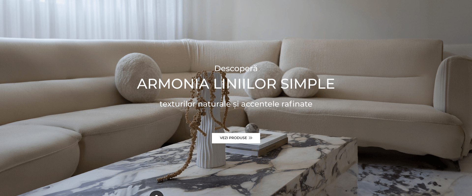 Banner Carusel Desktop, decor interior si vaze