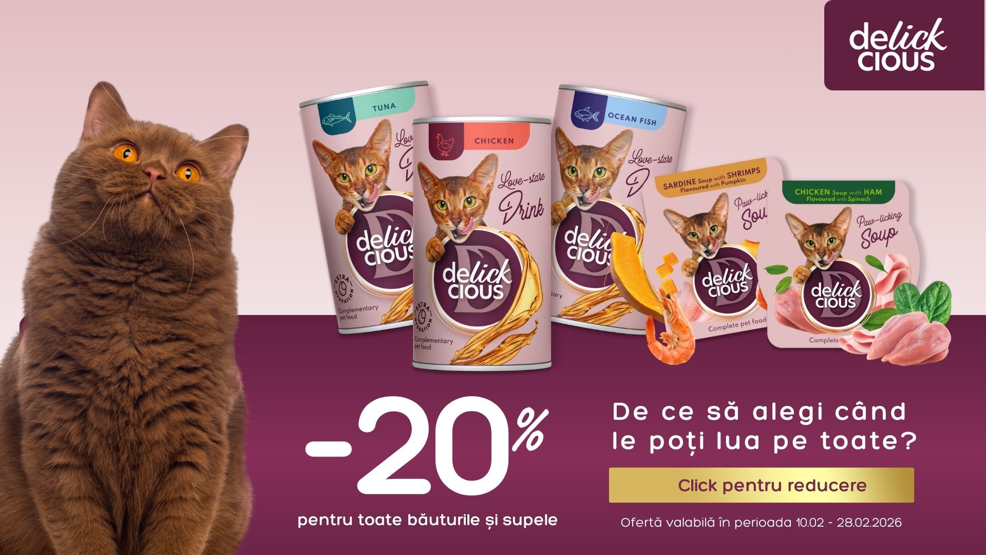 Bauturi si supe Delickcious