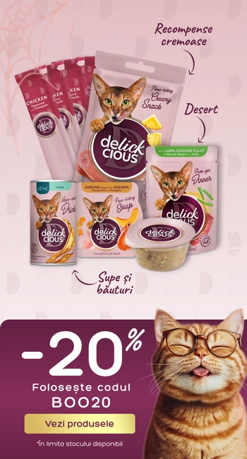 Voucher Boo20 Delickcious Oct