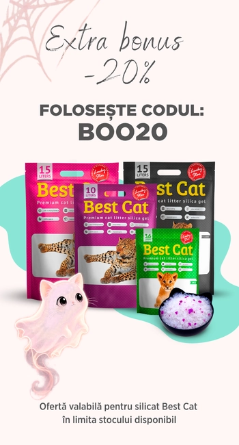 Voucher Boo20 Best Cat Oct