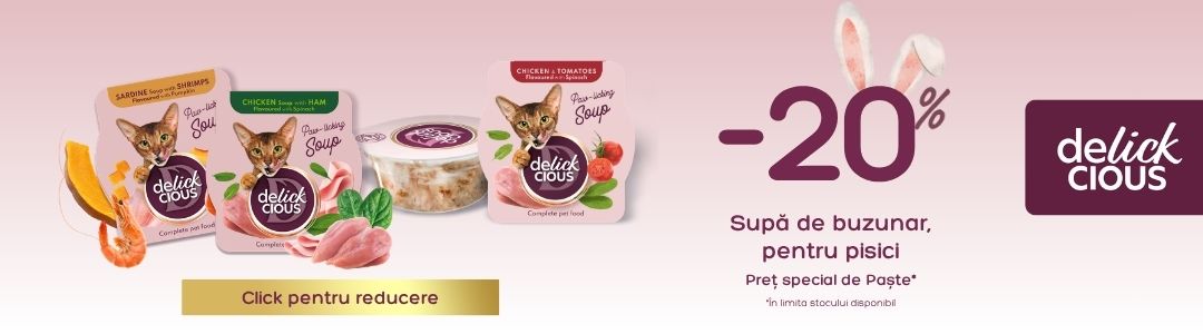 Banner categorie DL soup 20off