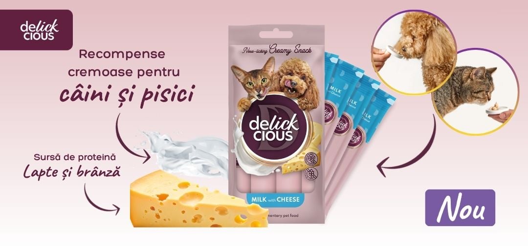Noutati delickcious Mobil