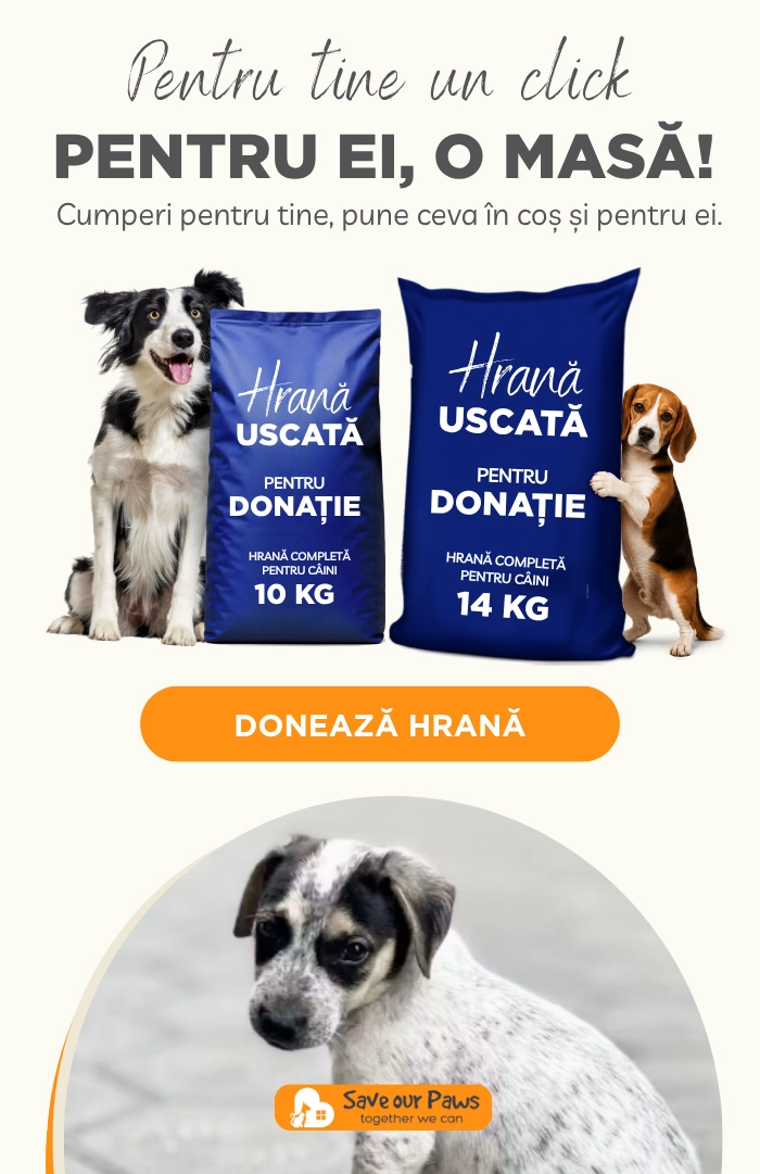 SaveOurPaws 1-4 oct mobil