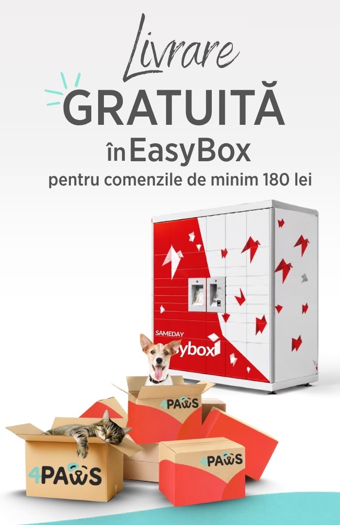 A_EasyBox_Mobil
