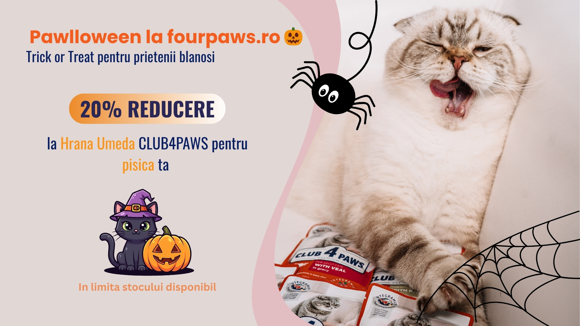 20% reducere hrana umeda C4P pisici