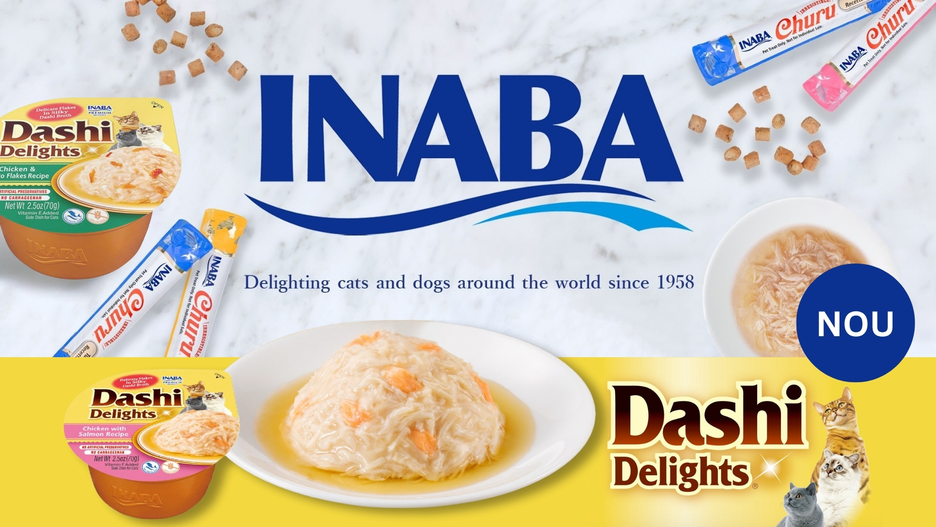 Noutati Dashi Delights