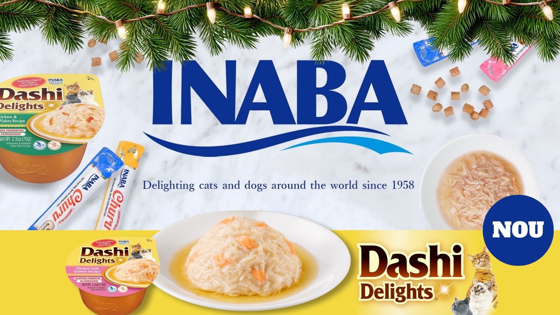 Noutati Dashi Delights