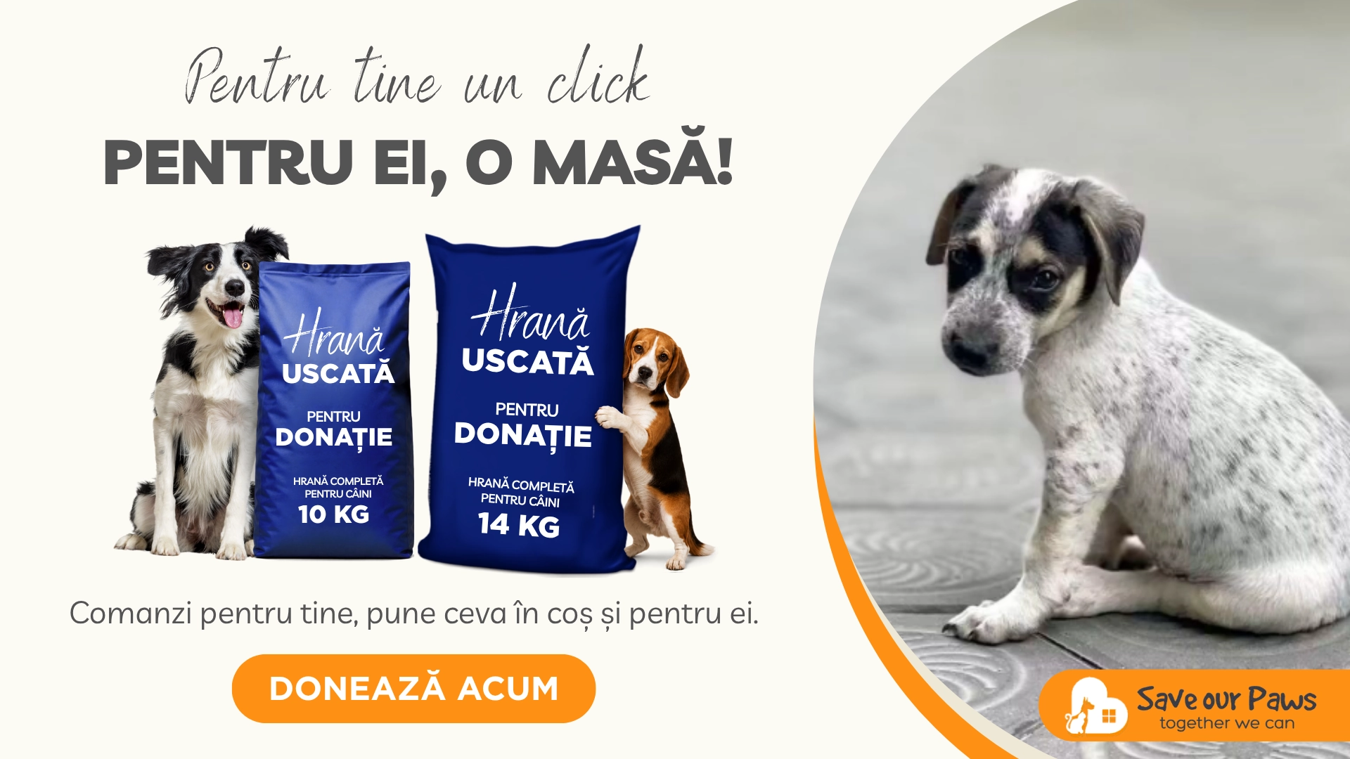 Save our paws 1-4 ocr desktop