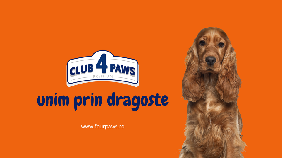 Cum faci corect tranziția către hrana Club4Paws fără probleme digestive?