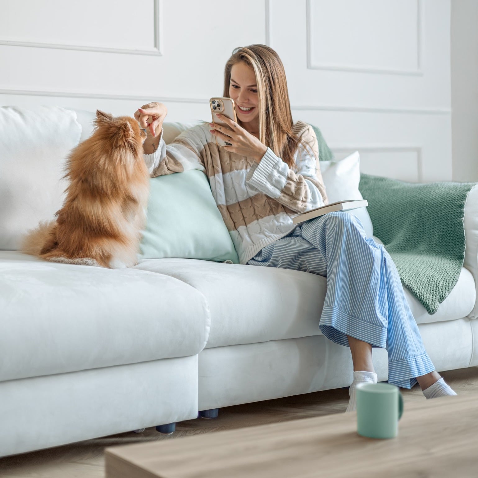 Cum influențează alimentația starea emoțională a câinelui?