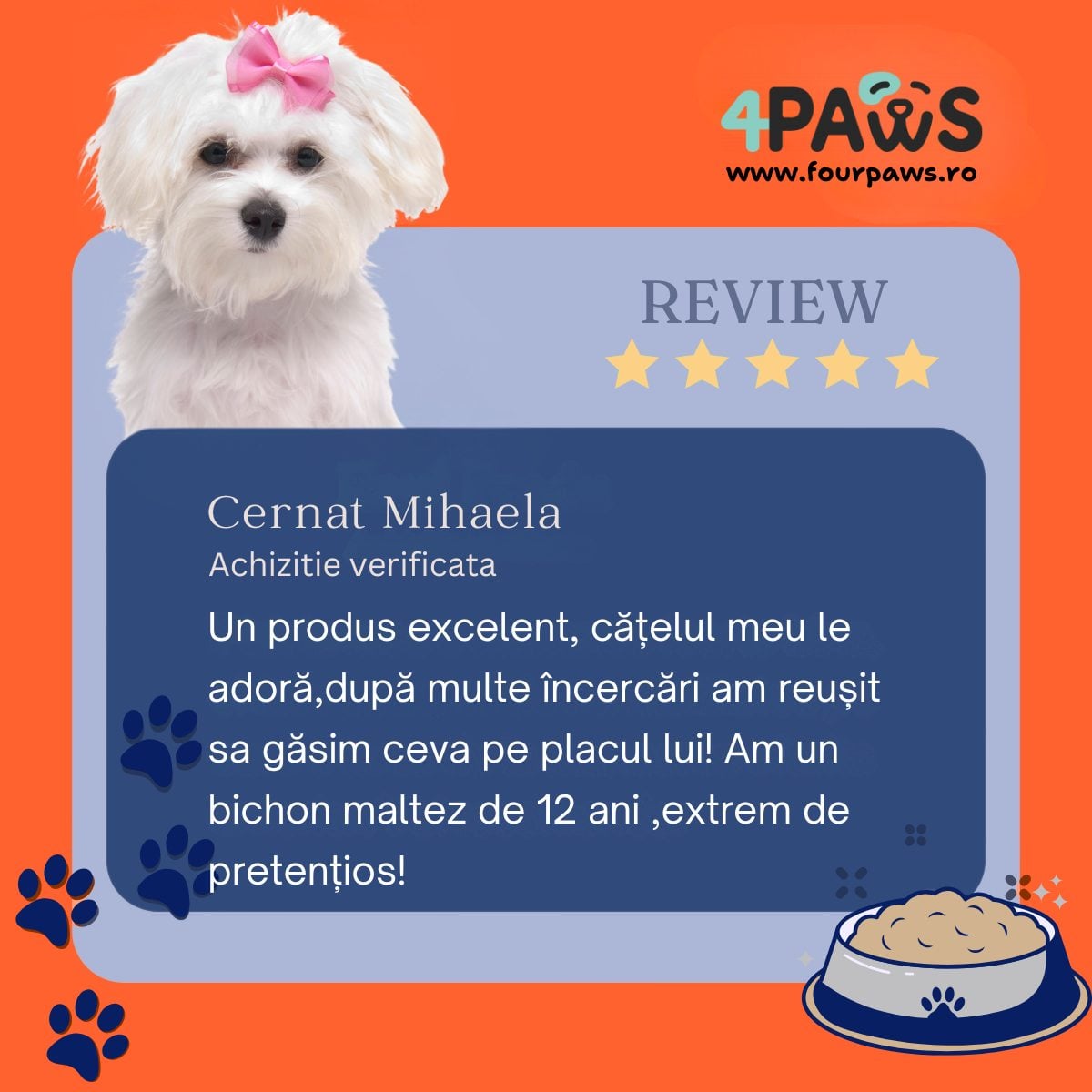 Cum schimbi hrana câinelui fără stres? Pași recomandați de specialiști