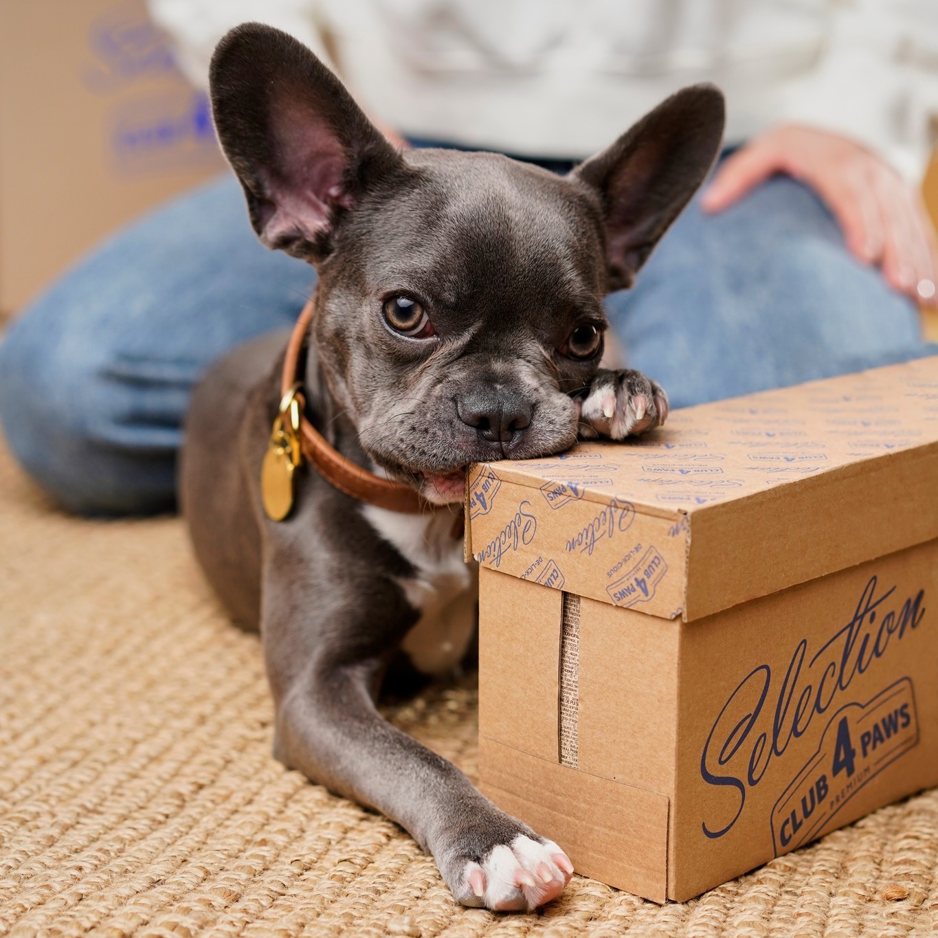 Rosul – comportament normal sau semn de stres?