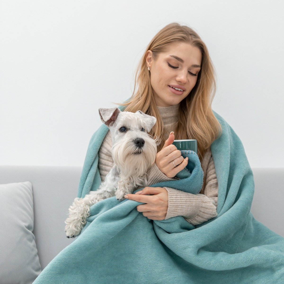 Digestie mai bună, câine mai liniștit. Cum arată o rutină corectă de masă?