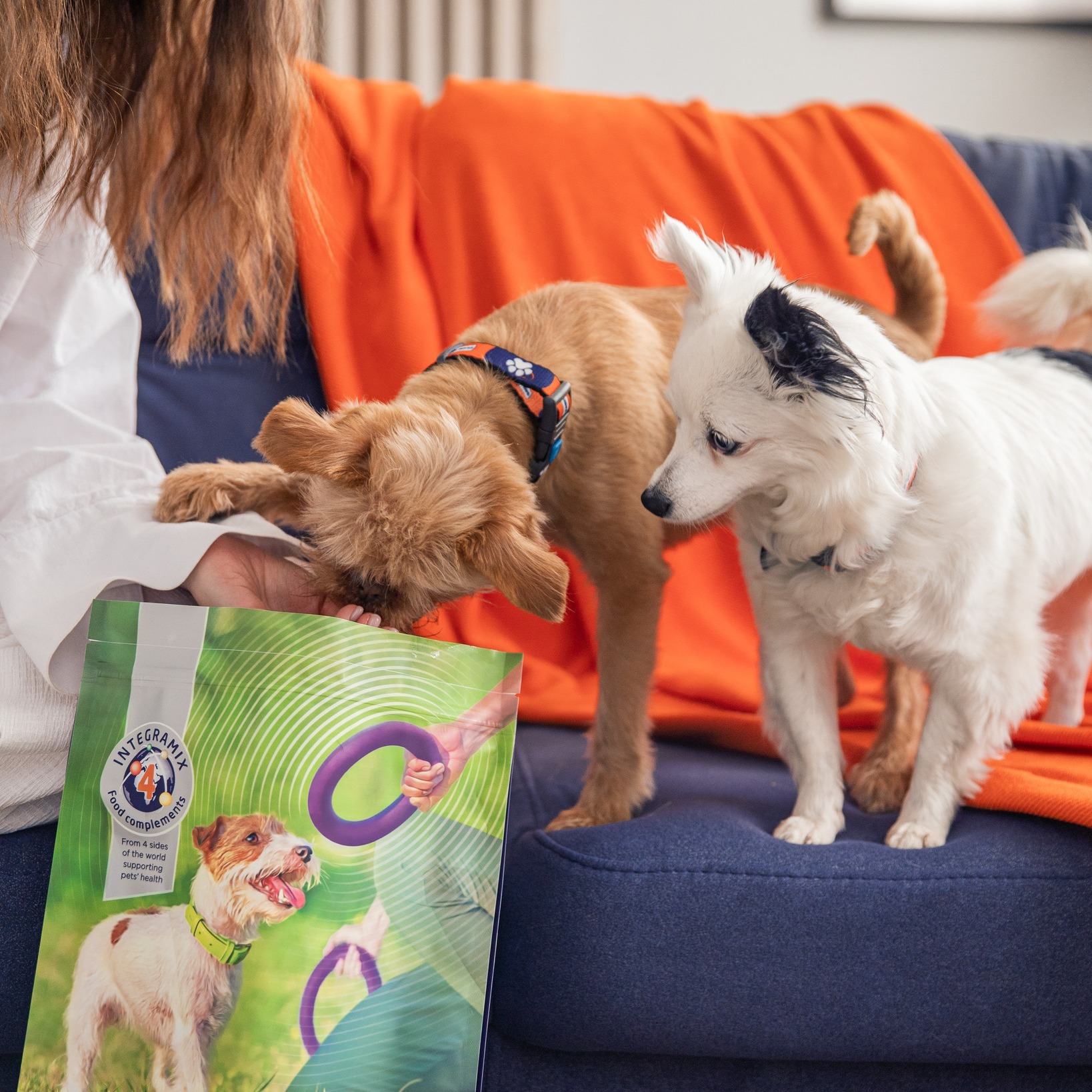 Tranziția la o hrană nouă când ai doi câini. Cum o faci fără stomac deranjat?