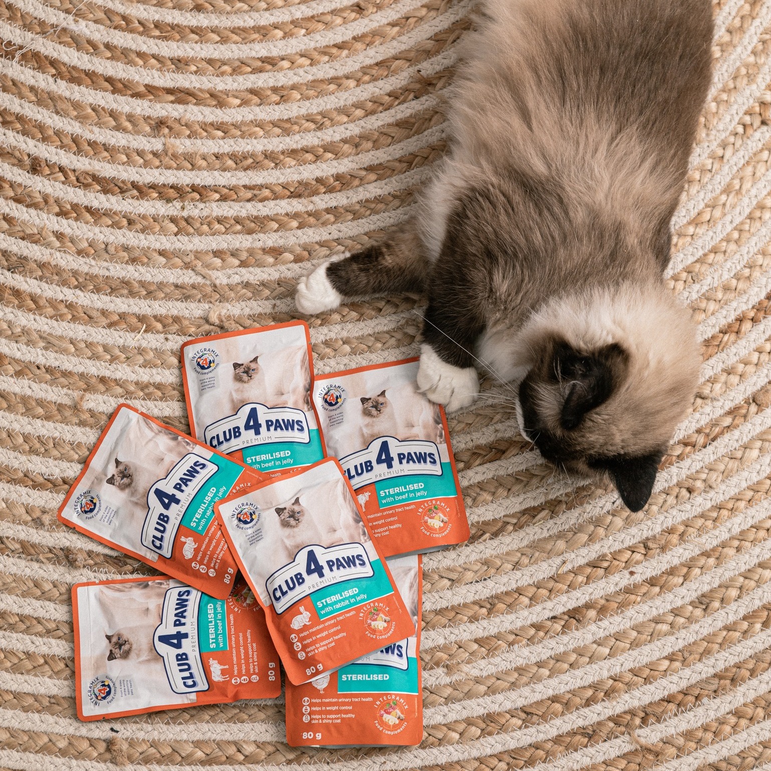 Blană frumoasă la pisici - ce rol joacă hrana în luciu și densitate?