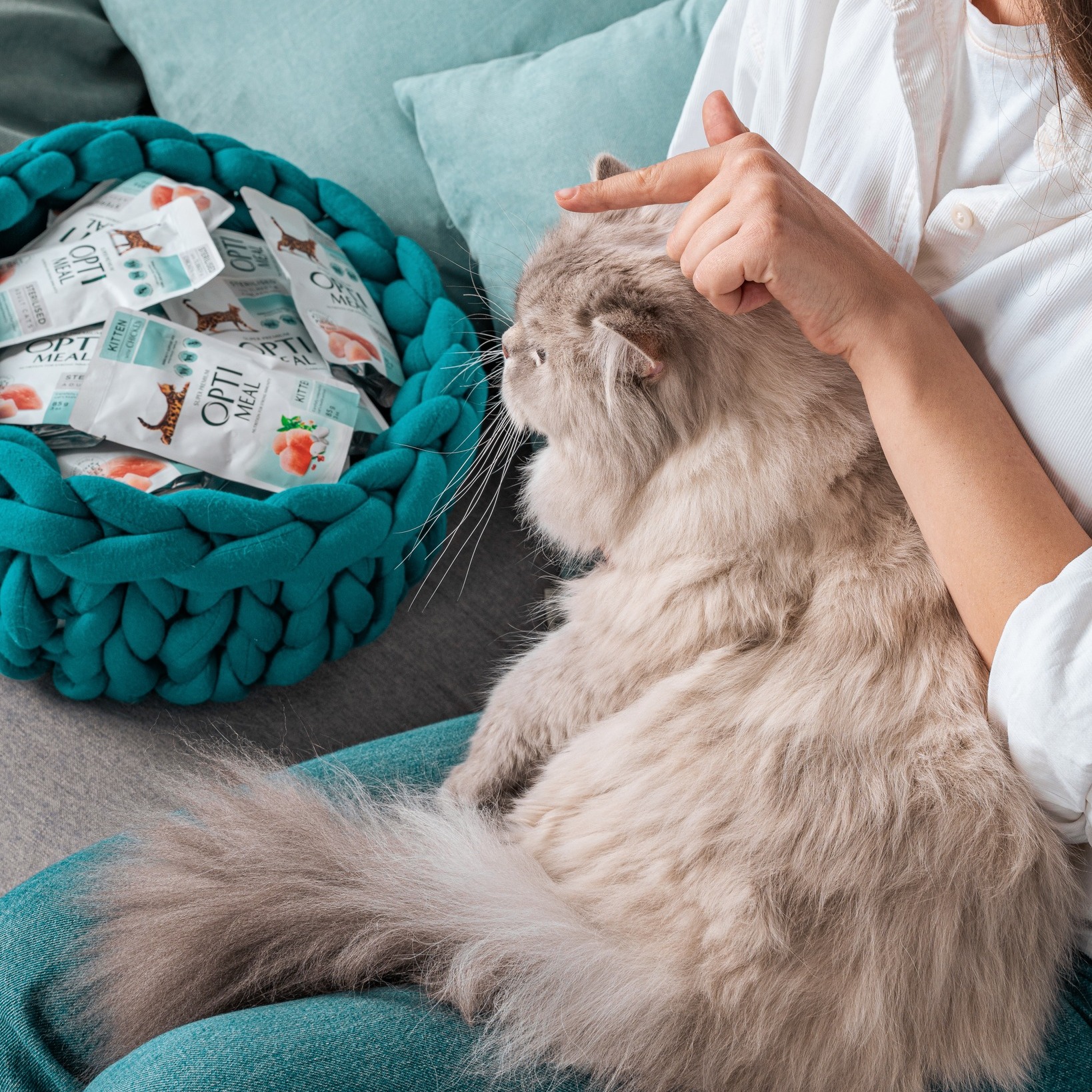 Cum alegi proteina potrivită pentru pisica ta - pui, pește sau curcan?