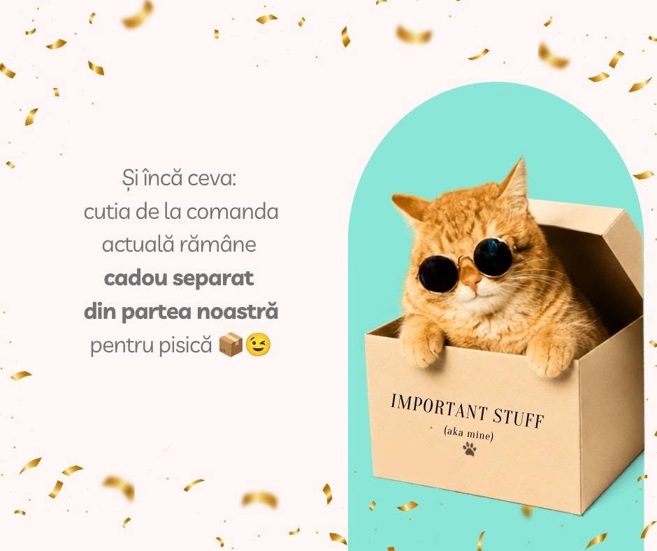 De ce o cutie nouă devine instant locul preferat al pisicii?