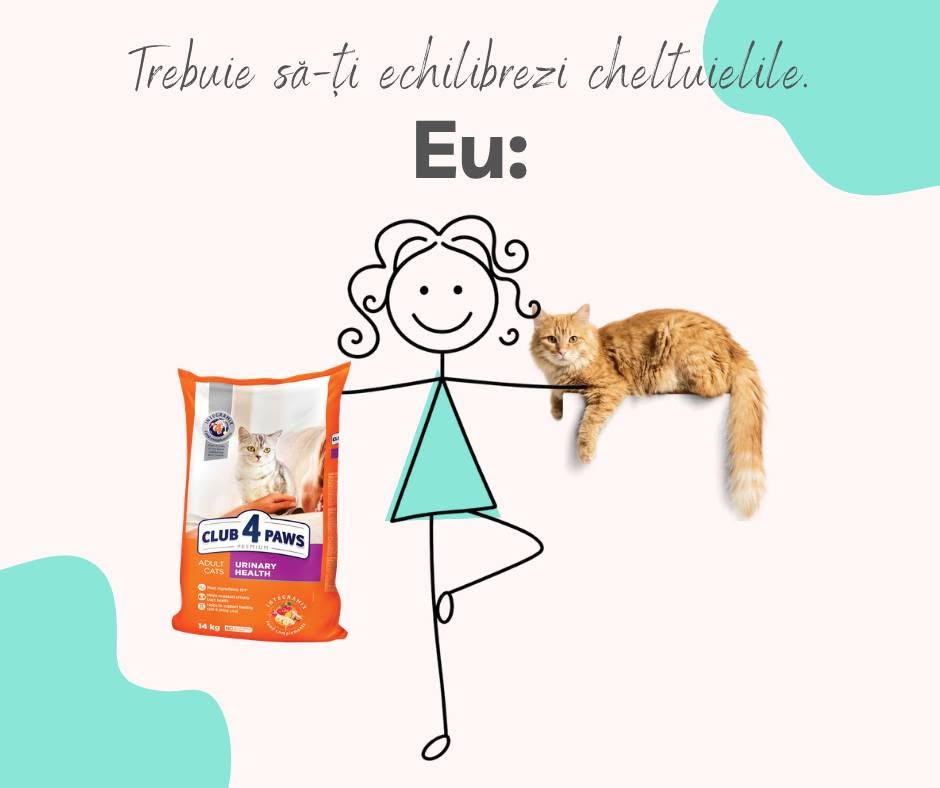 De ce este important să alegi hrana după nevoi, nu doar după preț?