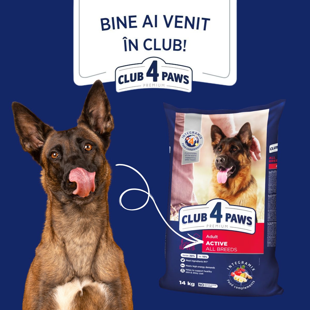 Cum adaptezi alimentația în funcție de nivelul de activitate al câinelui?