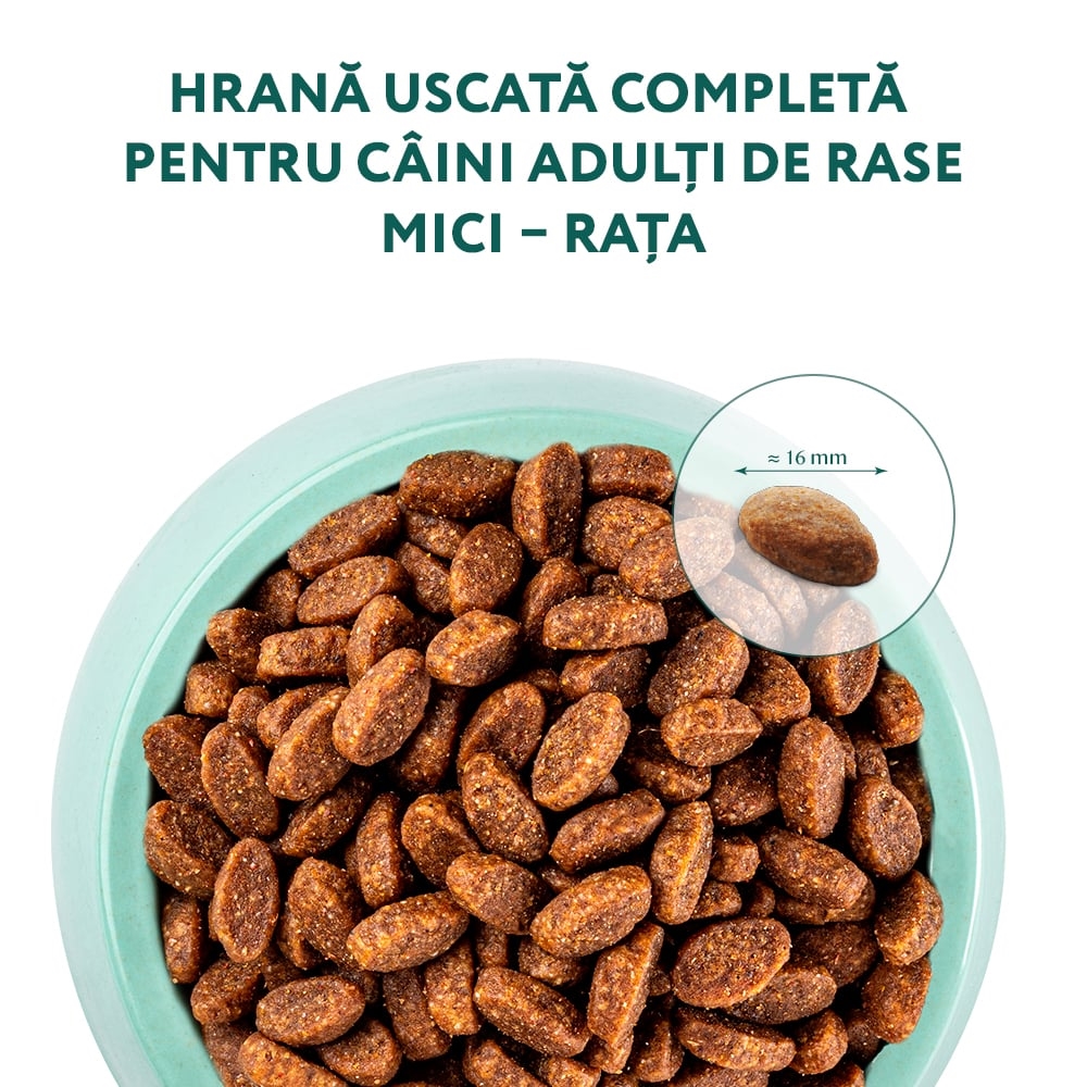 Hrana pentru caini cu rata - o alegere delicioasa si sanatoasa