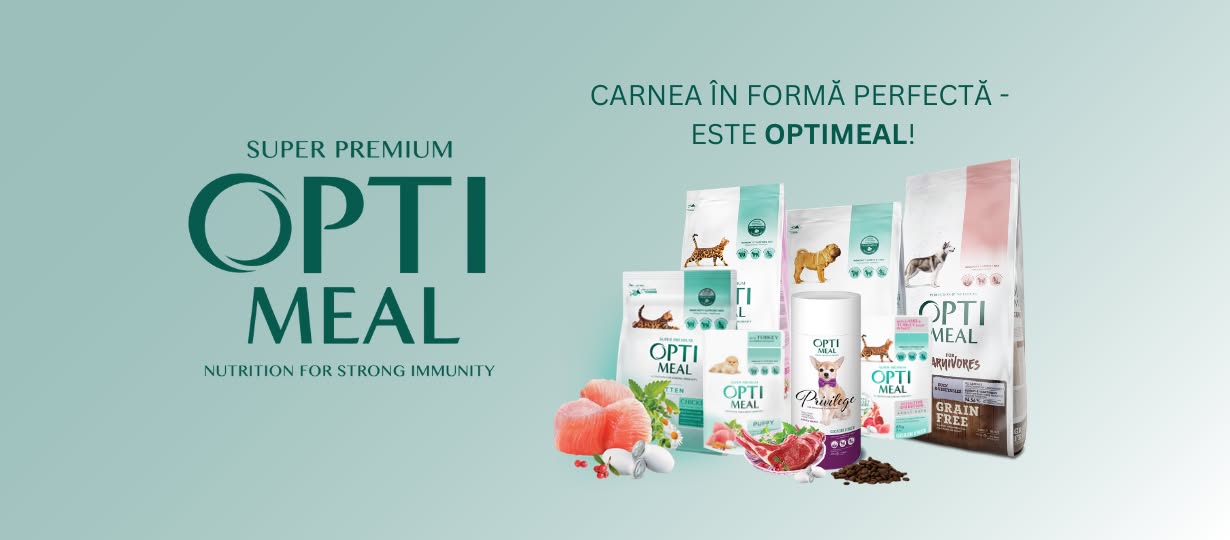 Cum hranesti cainii cu probleme dentare sau gingii sensibile?