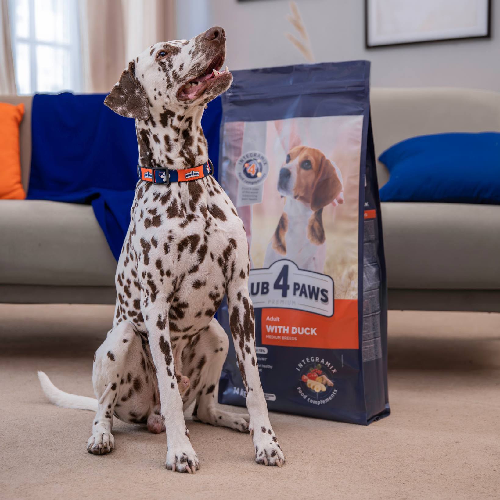 Hrana Club4Paws pentru caini seniori