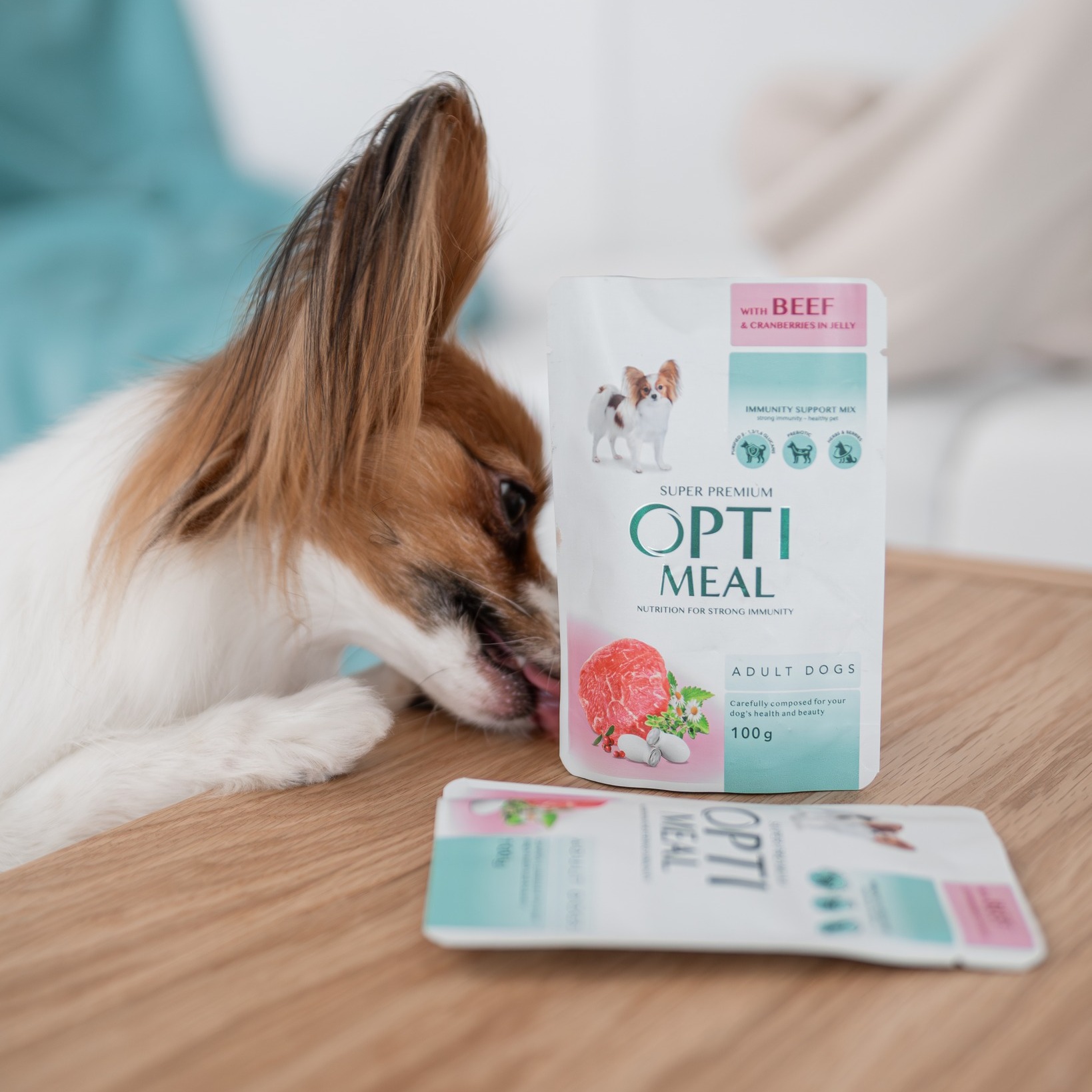 Cum identifici alergiile alimentare la cainele tau?