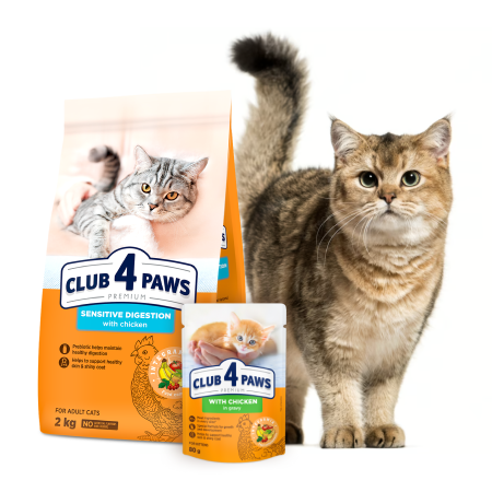 HRANA PREMIUM PENTRU PISICI