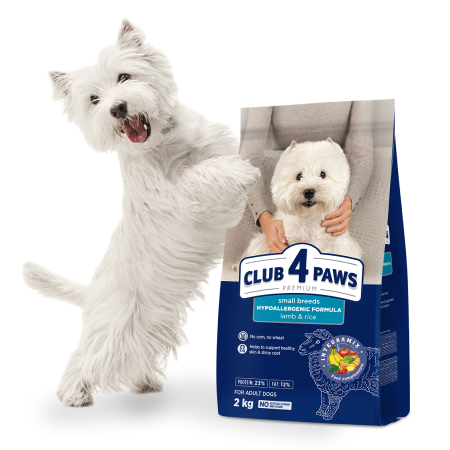 HRANA PREMIUM PENTRU CAINI